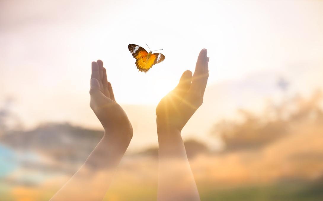 A girls hands release a butterfly into the sky