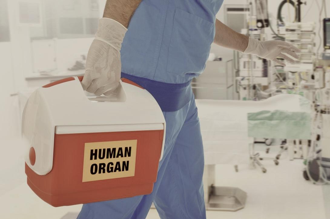 Organ transplant patients can die when donors aren't screened for this  parasitic disease